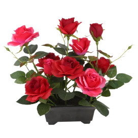 10 Potted Red Rose Flowers