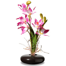 10 Pink Orchid Flowers